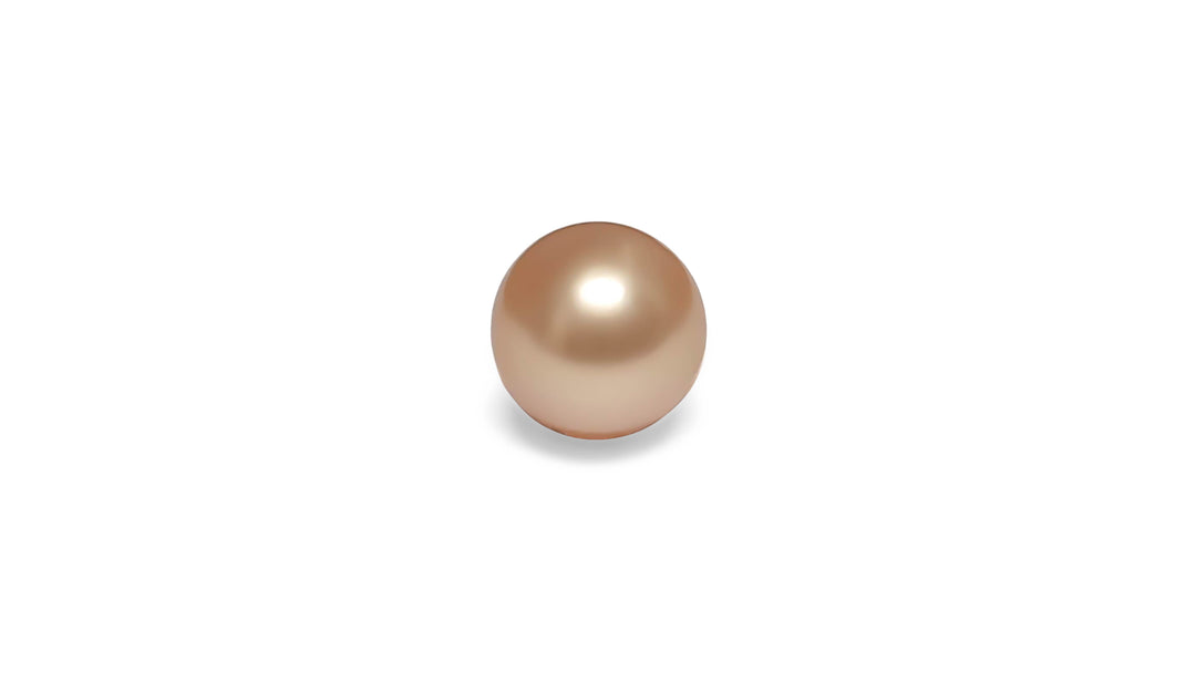 A semi round shape pink golden South Sea pearl is displayed on a white background.