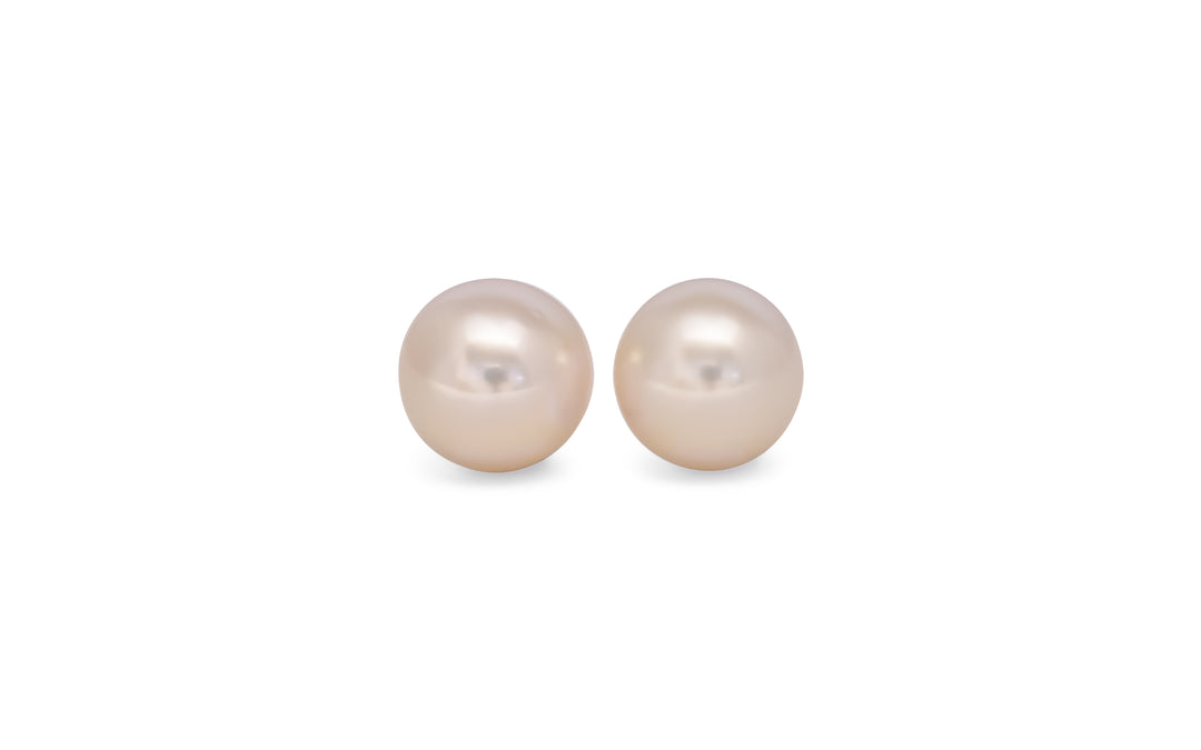A pair of semi round, pink, white south sea pearls are displayed on a white background.