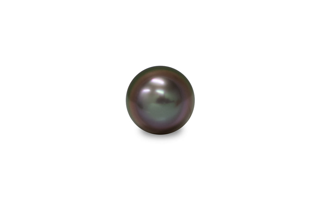 A high button shape aubergine/green Tahitian pearl is displayed on a white background.
