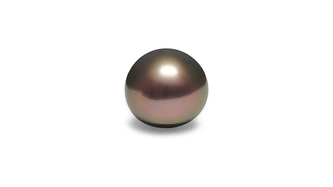 A high button shape aubergine/green Tahitian pearl is displayed on a white background.