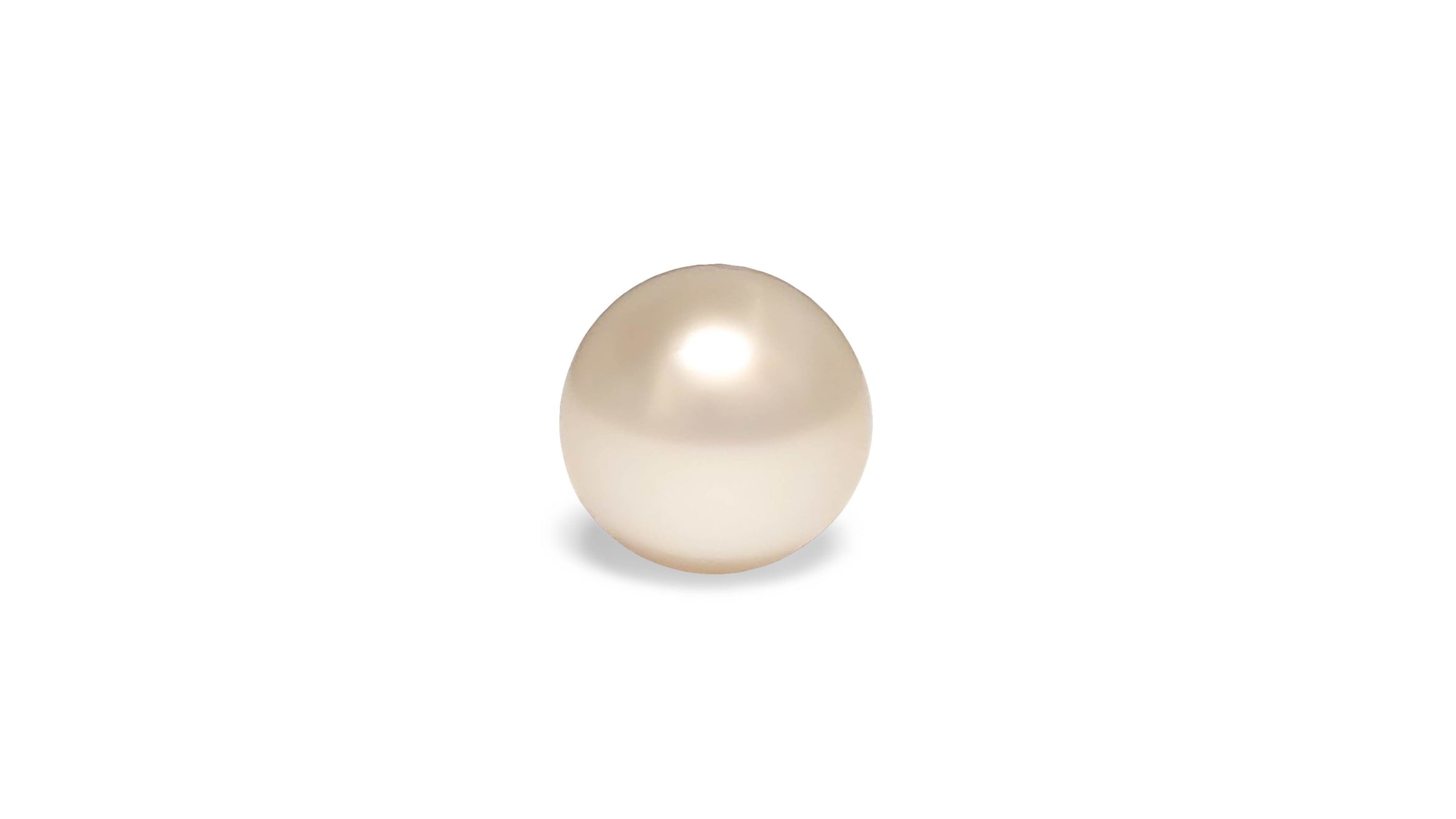 A high button shape white South Sea pearl is displayed on a white background.
