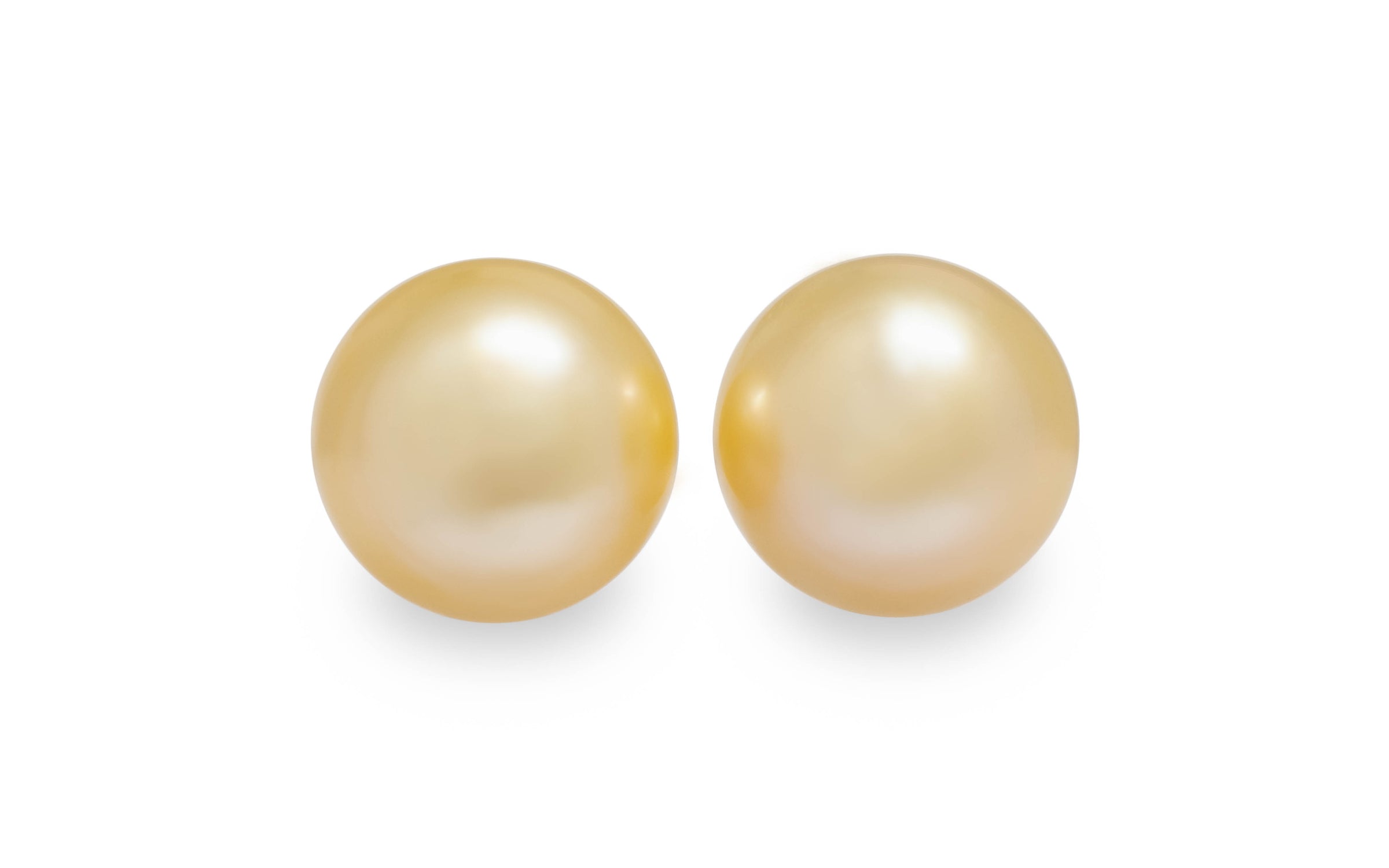 A pair of round golden South Sea pearls are displayed on a white background.