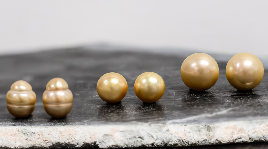 Three pairs of Golden South Sea pearls from the latest drop.