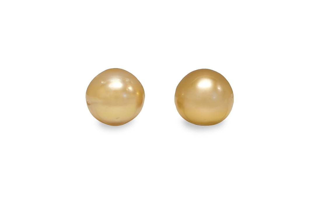 Golden South Sea Pearl Pair 11.0mm