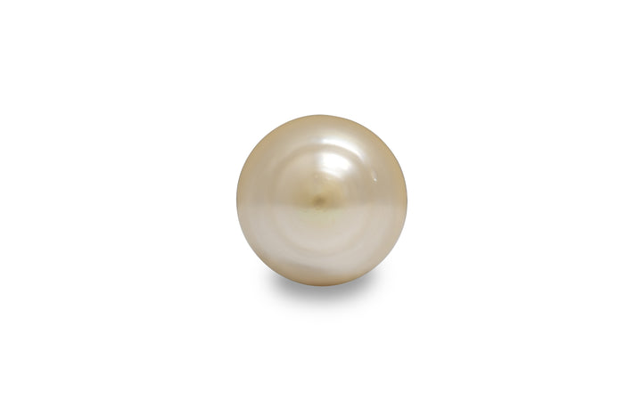 Golden South Sea Pearl 13.3mm