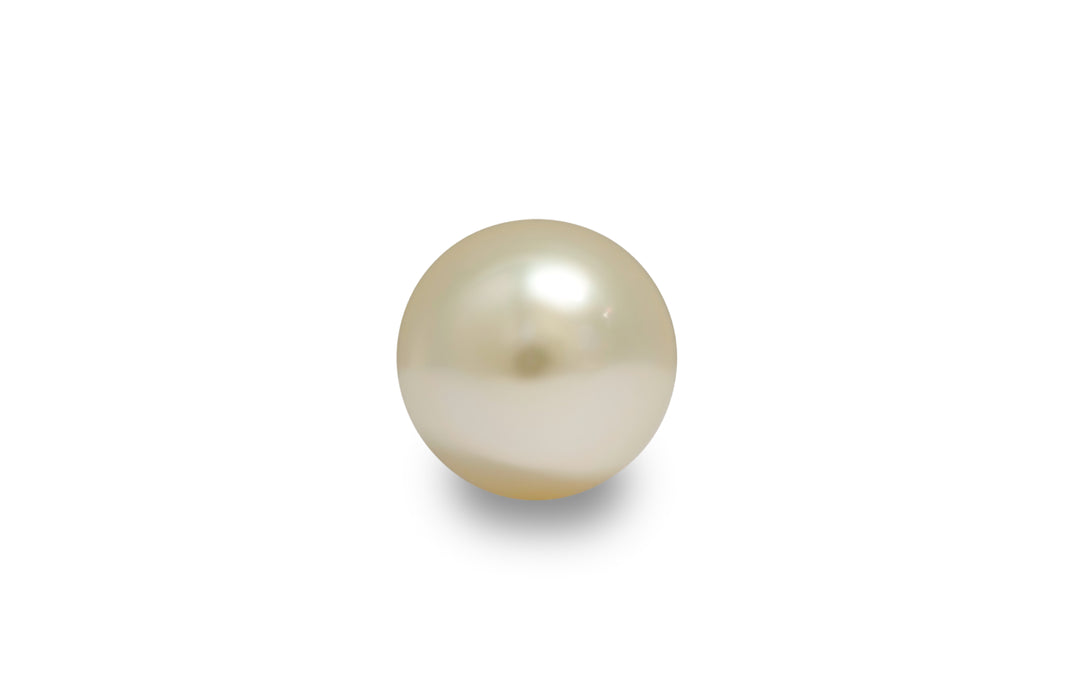 Golden South Sea Pearl 13.1mm
