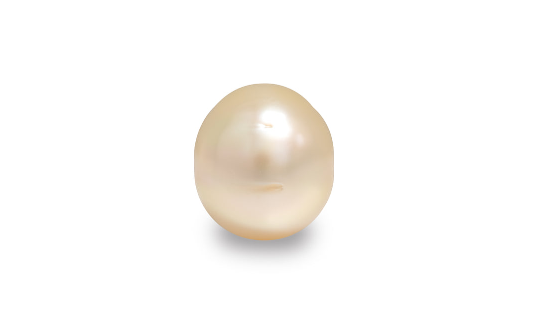 Golden South Sea Pearl 10.9mm