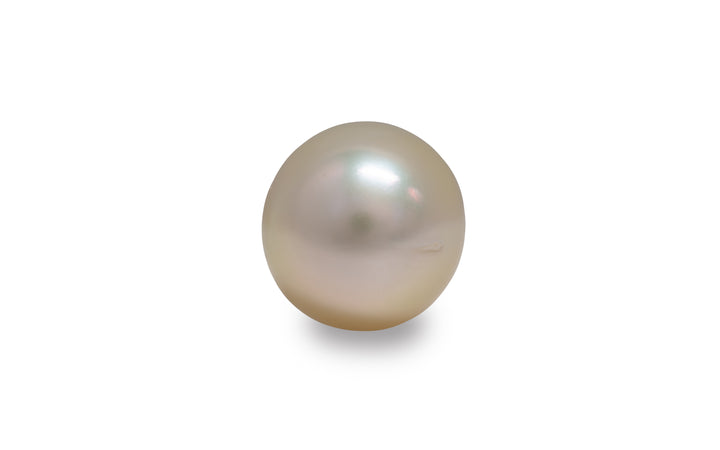 Golden South Sea Pearl 12.7mm