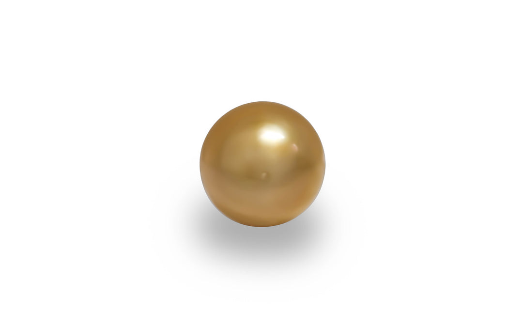 Golden South Sea Pearl 13.5mm