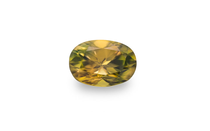 An oval cut, bright yellow, orange and olive green Australian Parti sapphire gemstone is displayed on a white background.