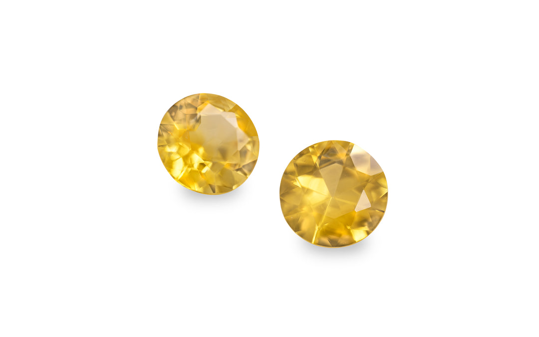 A pair of yellow round brilliant cut sapphire gemstones is displayed on a white background.