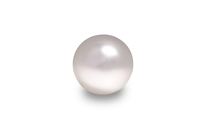 White South Sea Pearl 15.5mm