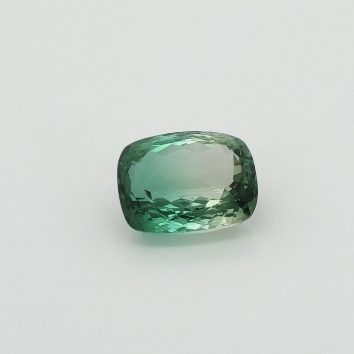 Bi-Colour Tourmaline 11.64ct