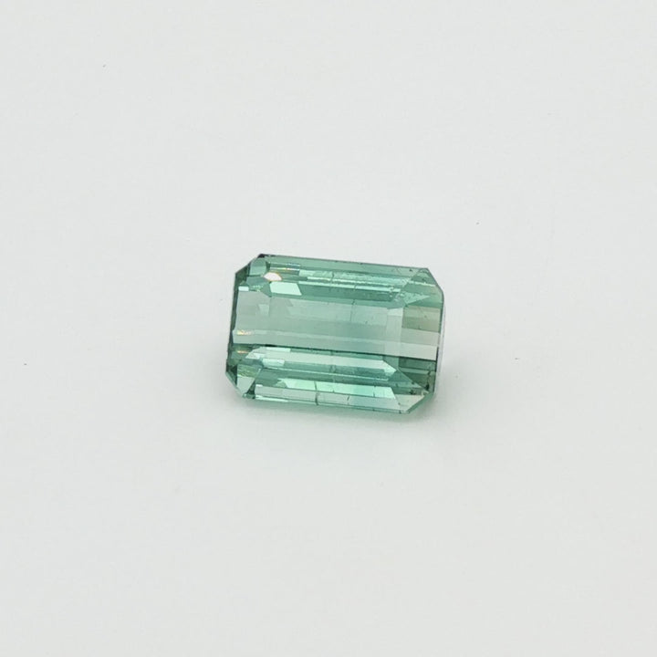 Bi-Colour Tourmaline 6.56ct