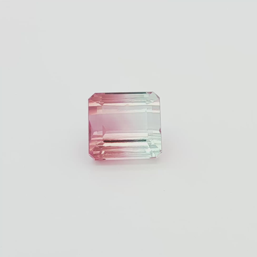 Bi-Colour Pink/Blue Tourmaline 7.29ct