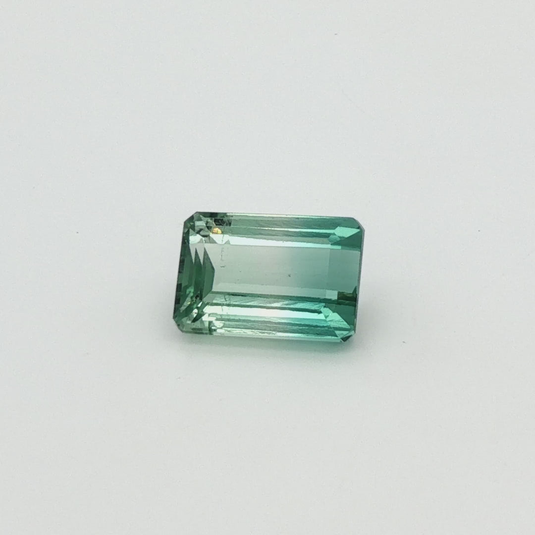 Bi-Colour Tourmaline 6.98ct