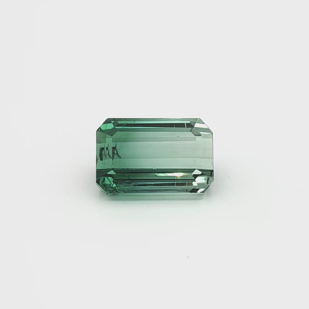 Green Bi-Colour Tourmaline 9.11ct