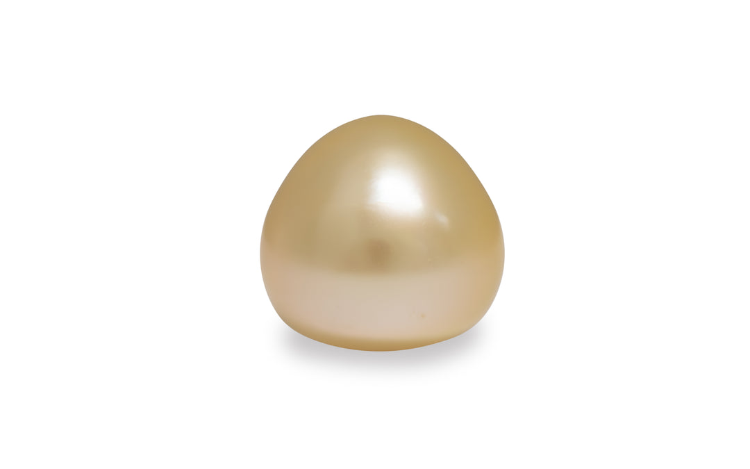 A bell shaped light gold golden South Sea pearl is displayed on a white background.
