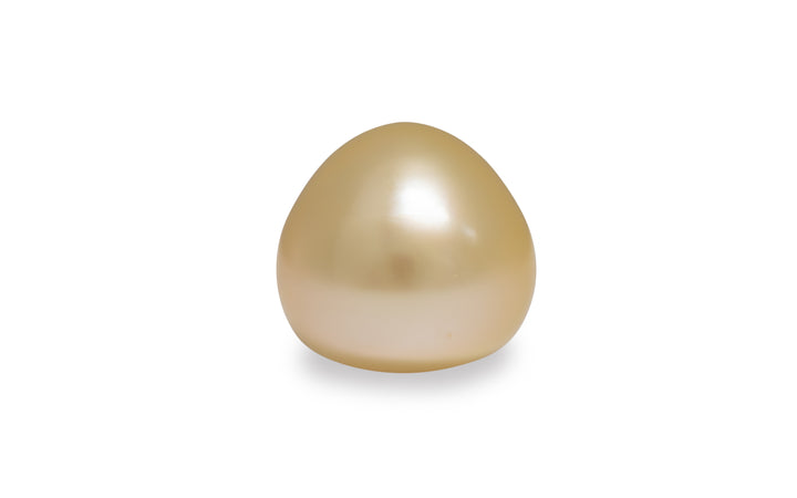 A bell shaped light gold golden South Sea pearl is displayed on a white background.