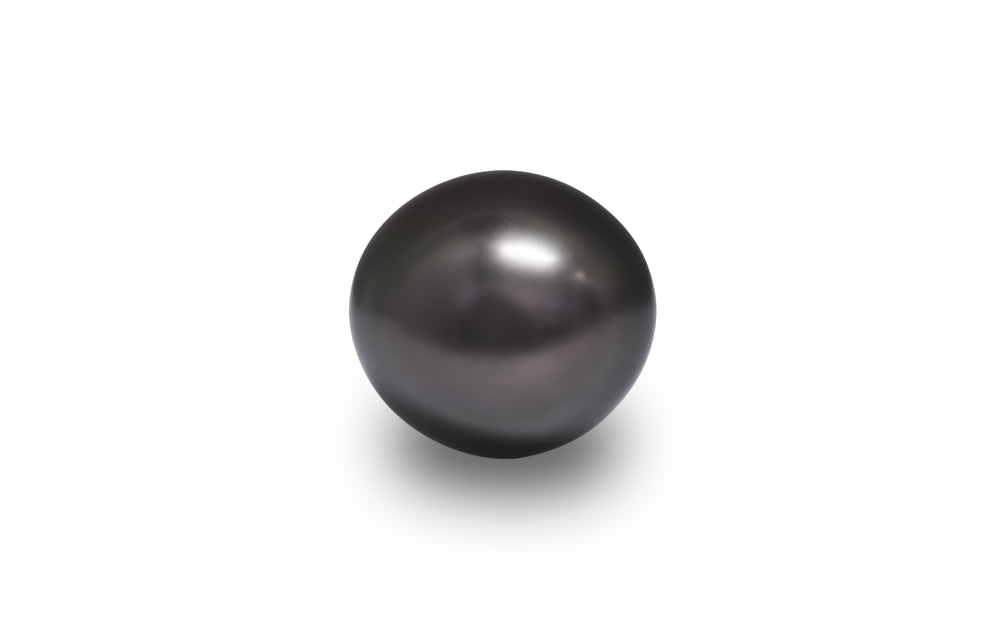 A button shape aubergine green Tahitian pearl is displayed on a white background.