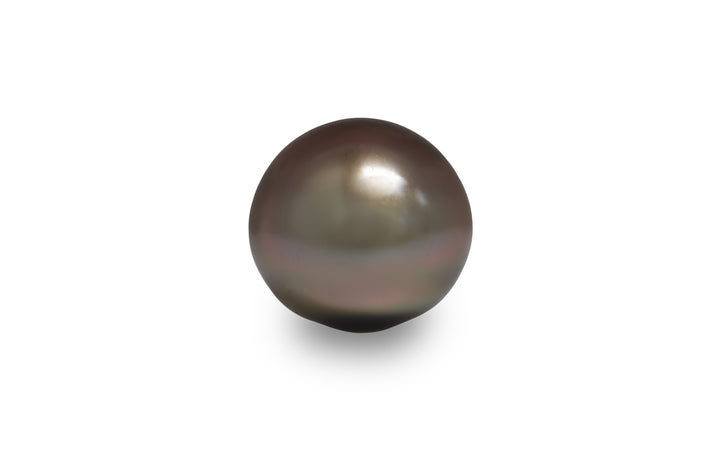 A button shape copper bronze Tahitian pearl is displayed on a white background.