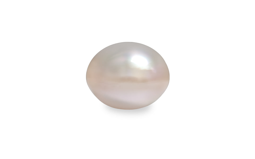 A button shape pink white South Sea pearl is displayed on a white background.