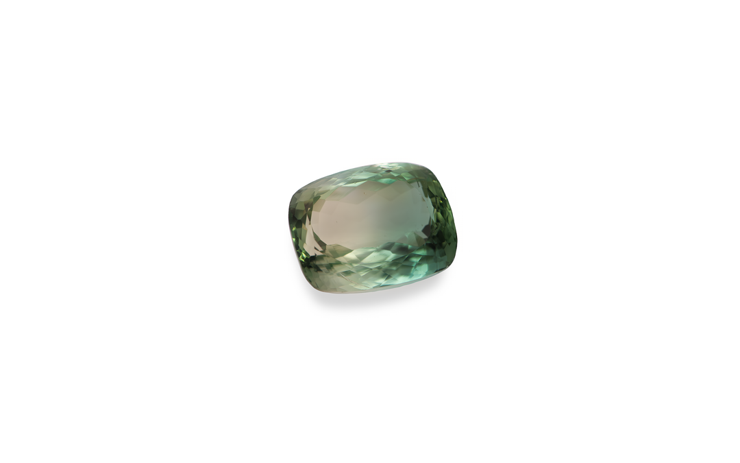 Bi-Colour Tourmaline 11.64ct