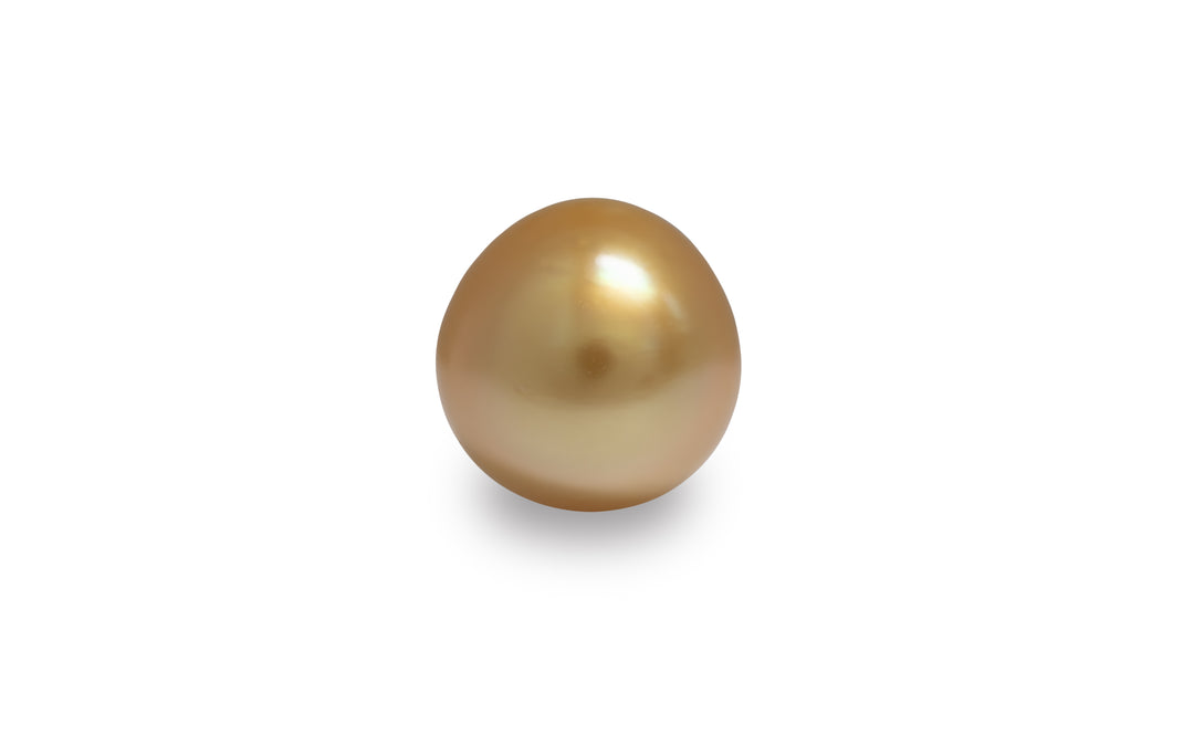 A drop shaped deep gold golden South Sea pearl is displayed on a white background.