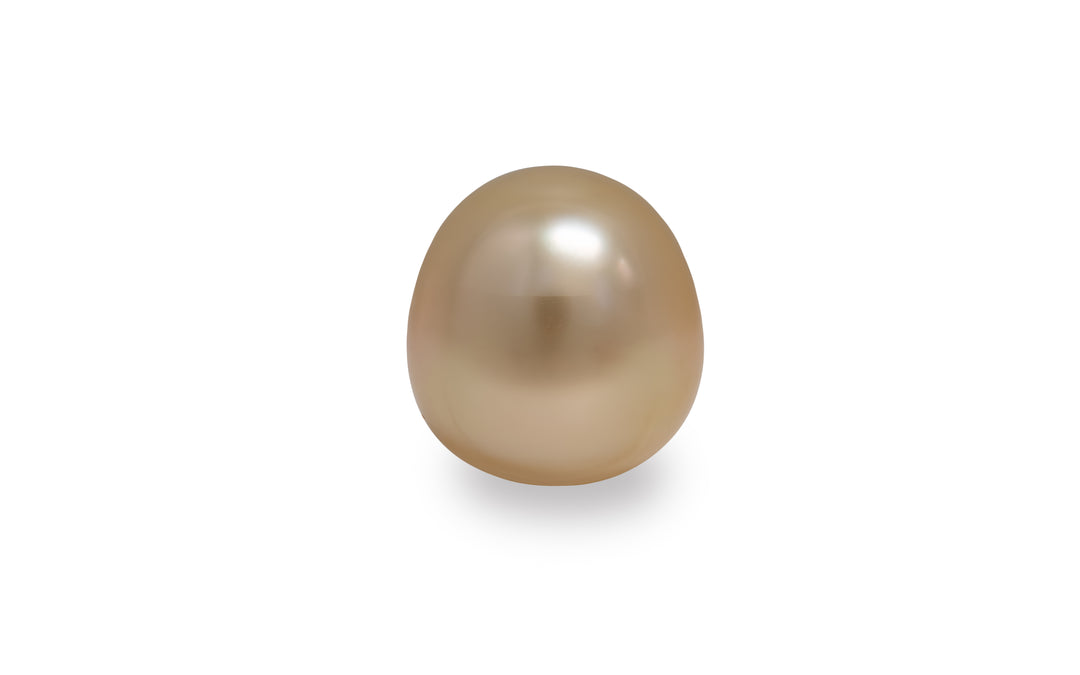 A drop shaped light gold golden South Sea pearl is displayed on a white background.