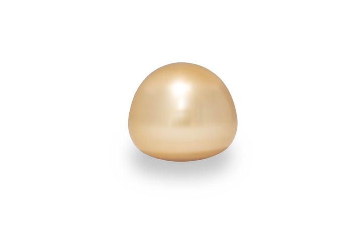 A high button shape golden South sea pearl is displayed on a white background.