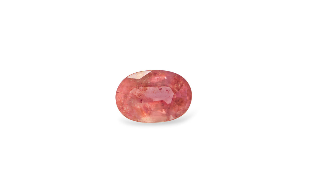 An oval cut padparadscha sapphire gemstone is displayed on a white background.