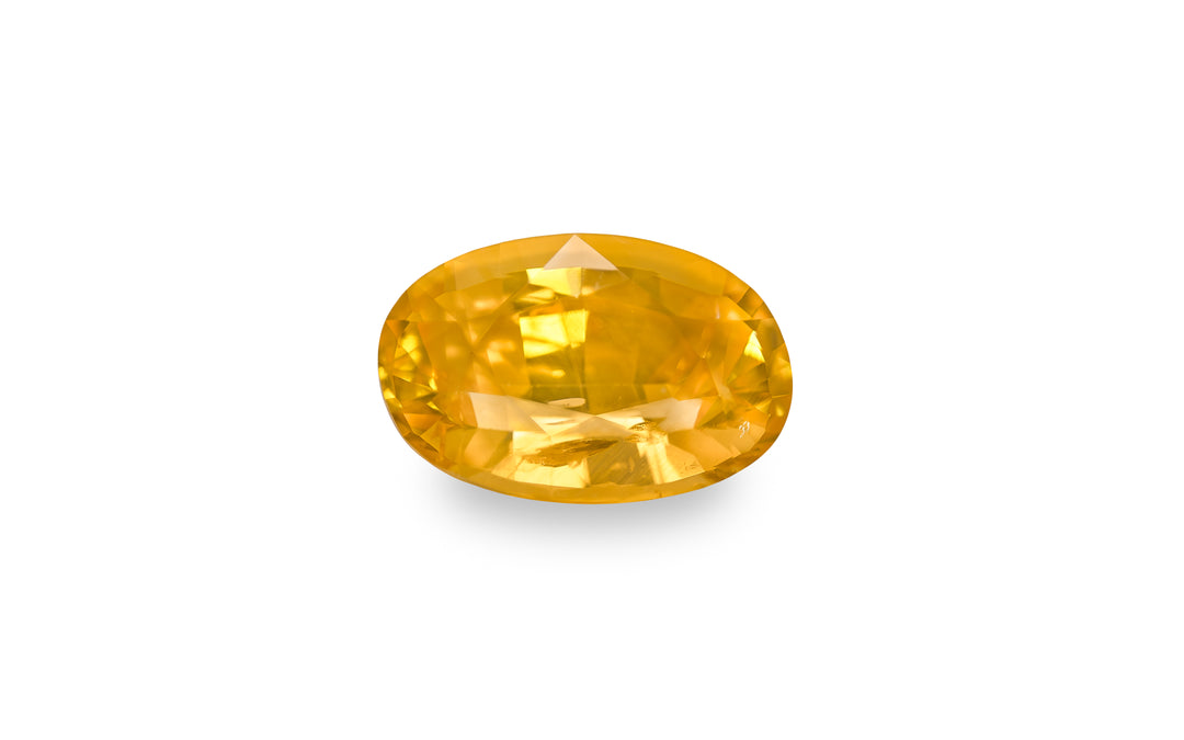 An oval cut yellow sapphire gemstone is displayed on a white background.