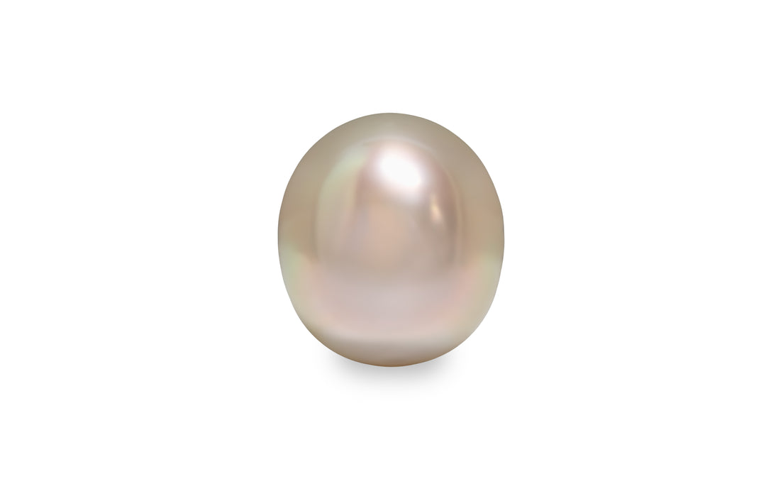 An oval shape fancy pink South Sea pearl is displayed on a white background.