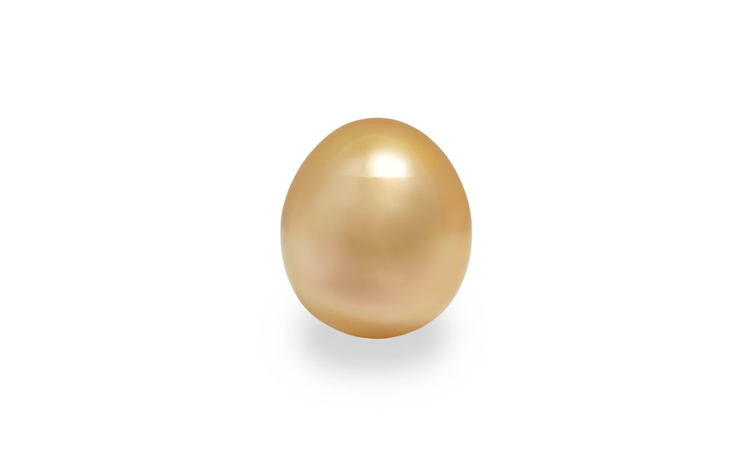 An oval shape gold South sea pearl is displayed on a white background.