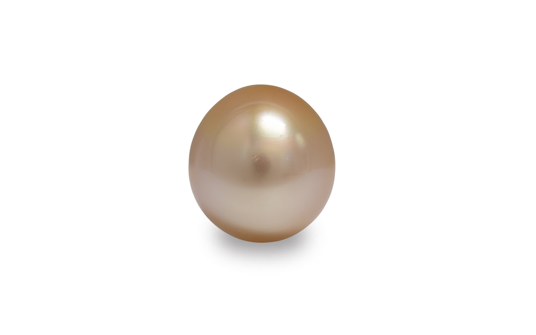 An oval shaped pink gold golden South Sea pearl is displayed on a white background.