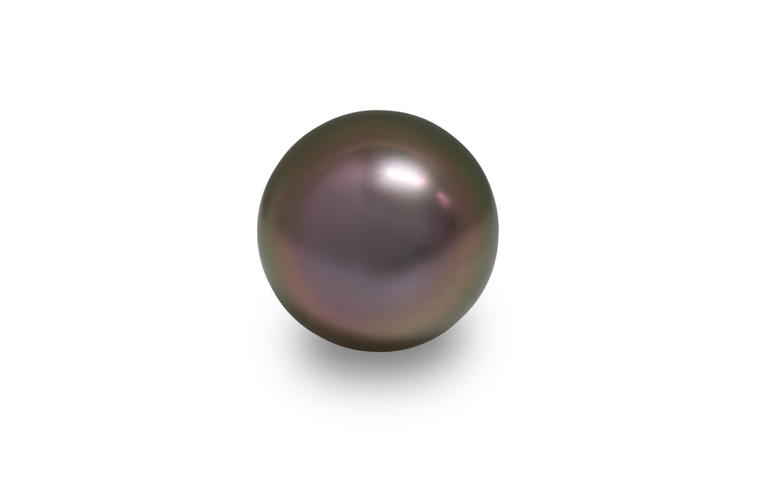 A round shape aubergine green Tahitian pearl is displayed on a white background.