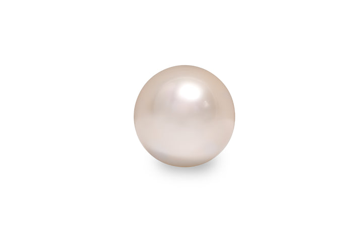 A round shape fancy cream pink South Sea pearl is displayed on a white background.