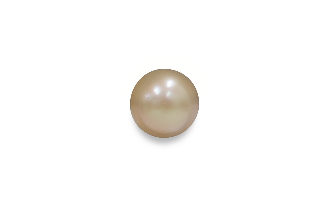 Golden South Sea Pearl 14.1mm