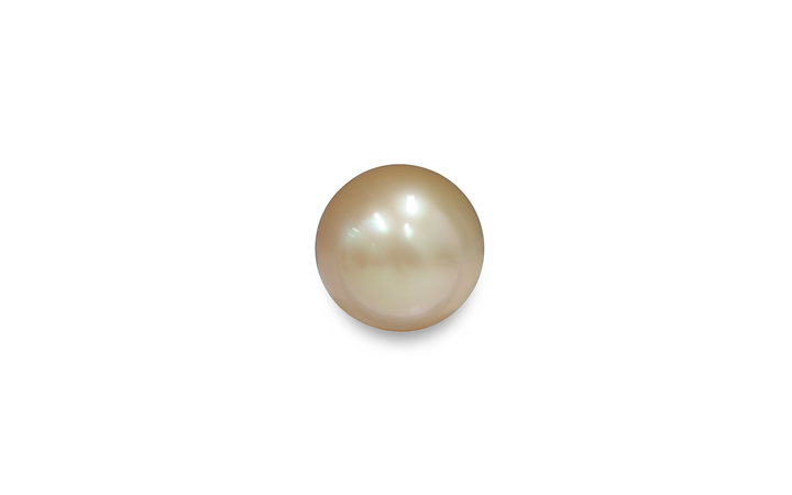 Golden South Sea Pearl 14.1mm