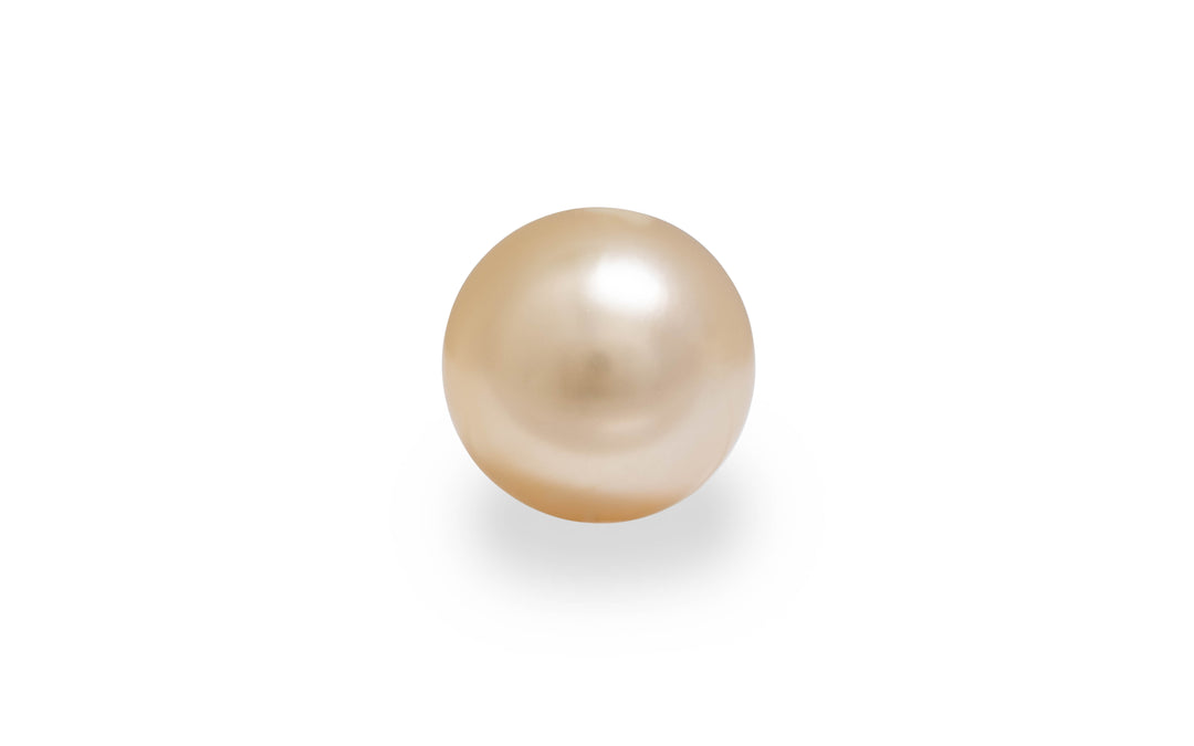 A round shape light golden South sea pearl is displayed on a white background.