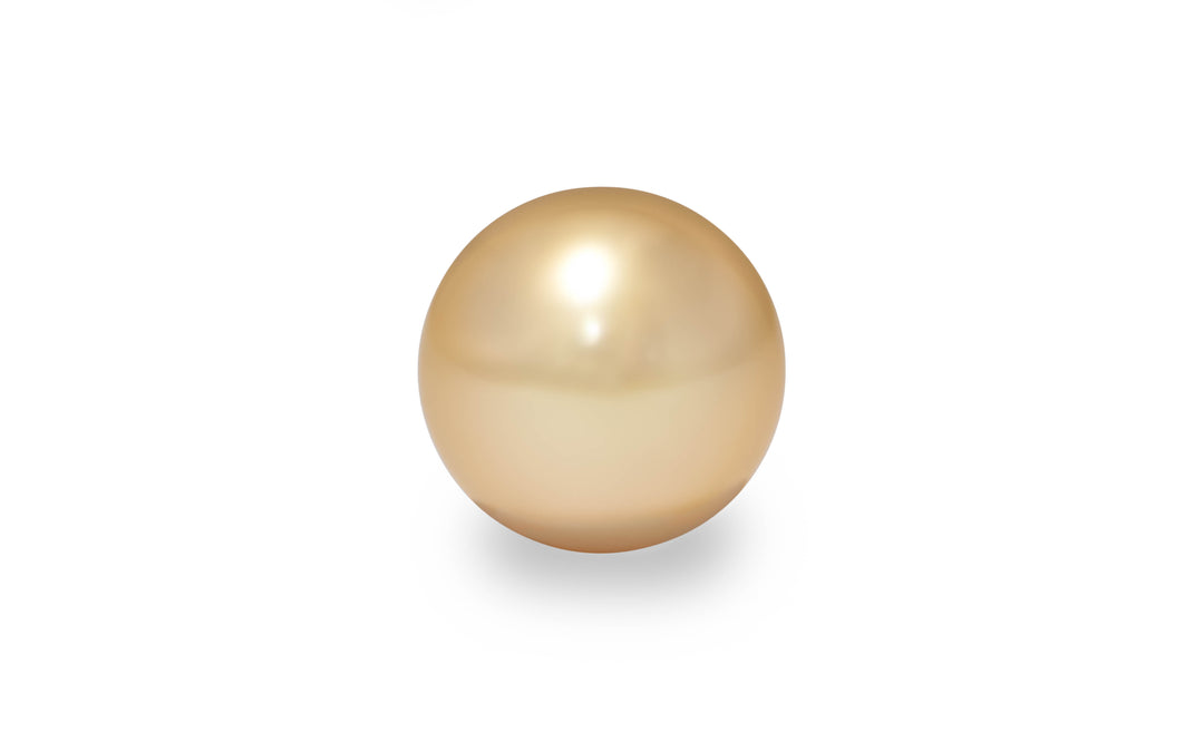 A round shape light gold South sea pearl is displayed on a white background.