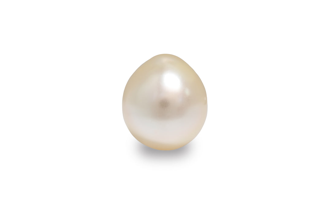 A semi baroque light gold South Sea pearl is displayed on a white background.
