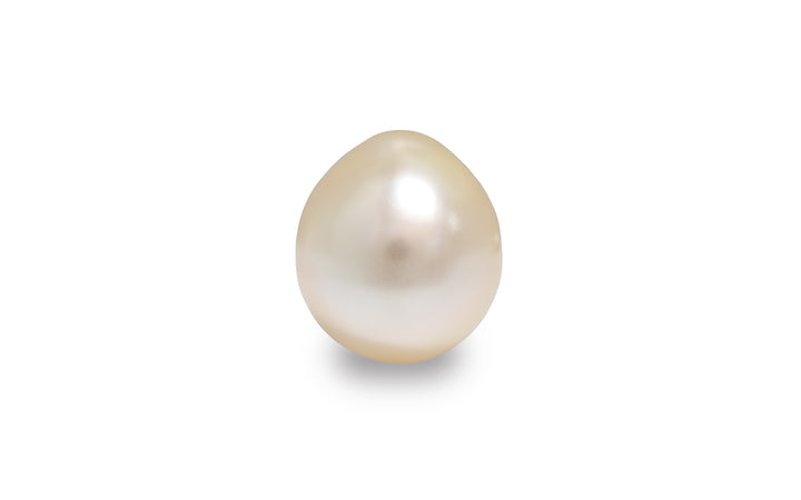 A semi baroque light gold South Sea pearl is displayed on a white background.
