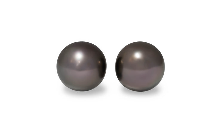 A semi round shape aubergine green Tahitian pearl pair is displayed on a white background.