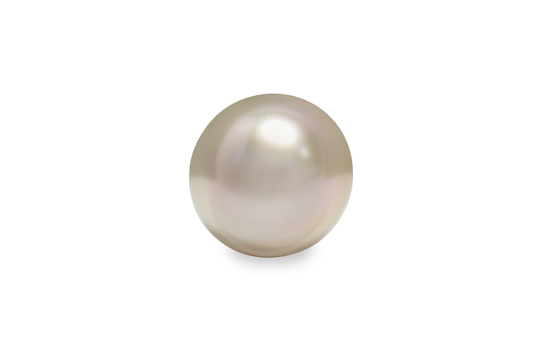 A semi round shape fancy pink gold South Sea pearl is displayed on a white background.