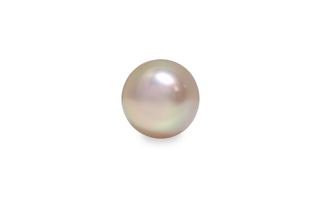 A semi round shape fancy pink South Sea pearl is displayed on a white background.