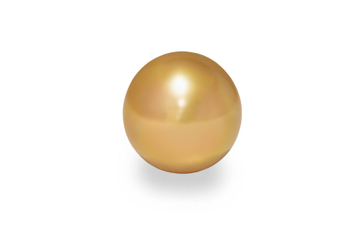 A semi round shape gold South sea pearl is displayed on a white background.