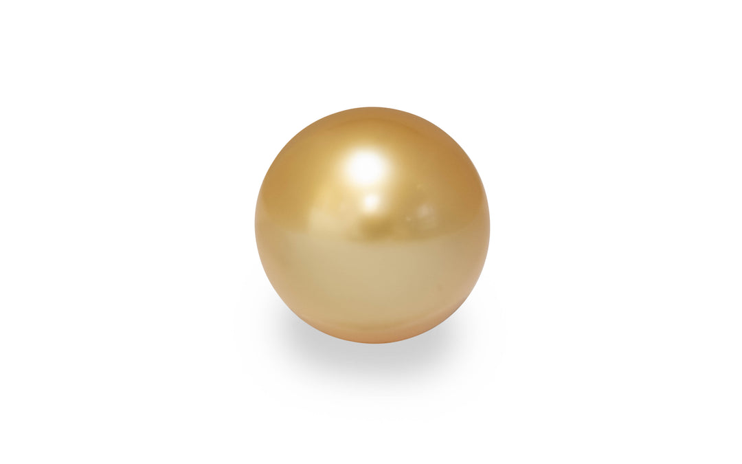 A semi round shape gold South sea pearl is displayed on a white background.