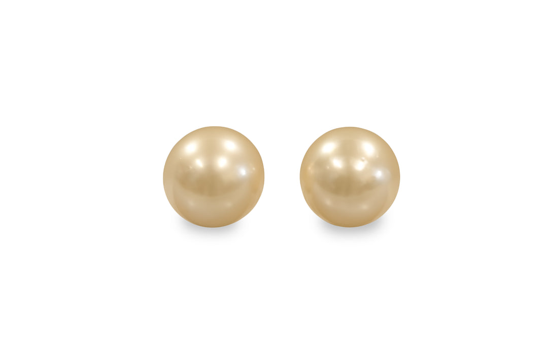 A semi round light Golden South Sea pearl pair is displayed on a white background.
