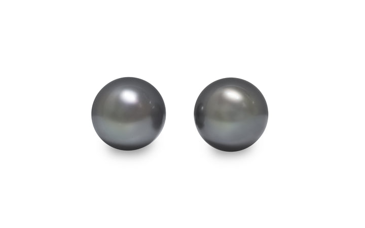 A semi round shape Tahitian pearl pair is displayed on a white background.
